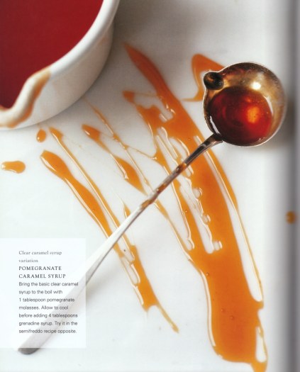 Paul Gayler's Sauce Book 0008